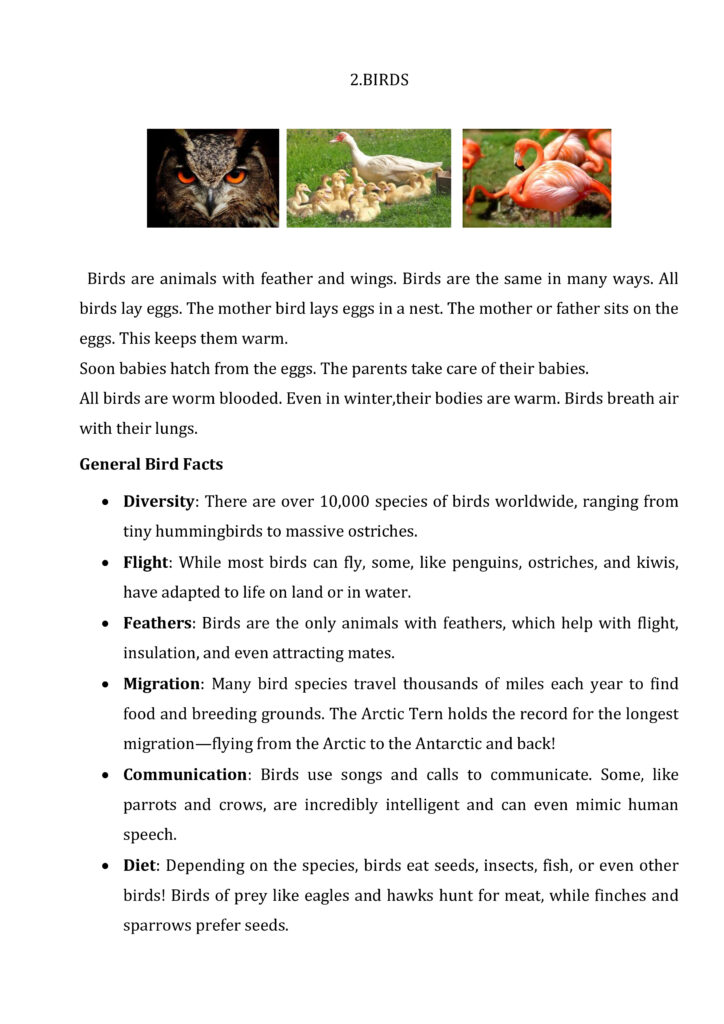 Birds/ESL Teaching Methods Materials and Techniques  Birds